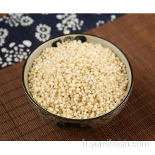 Grain de riz de sorgho